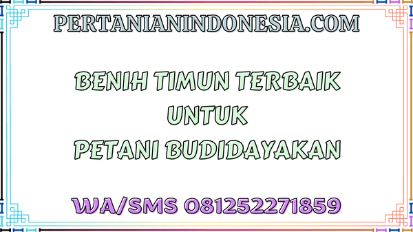 Benih Timun Terbaik Untuk Petani Budidayakan